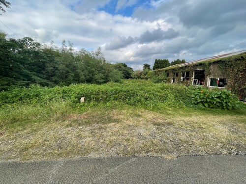 自然豊かな本部町新里の売地 自然豊かな本部町新里の売地