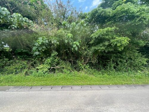 海まで徒歩約3分の本部町新里の売地 海まで徒歩約3分の本部町新里の売地