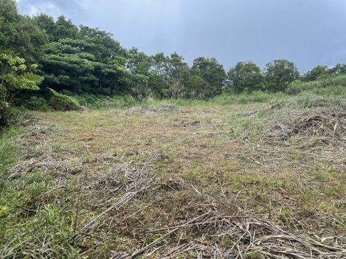 ジャングリアまで車で約7分の今帰仁村湧川の売地 ジャングリアまで車で約7分の今帰仁村湧川の売地