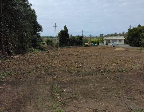 本部町備瀬 約600坪の事業用地