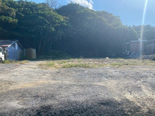 名護市運天原 自然豊かな131坪の売地