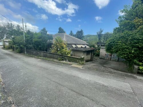 東村 やんばるの自然にかこまれた古民家